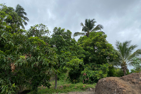 Recorre la Ciudad Vieja/Descubre la CIUDAD VIEJA