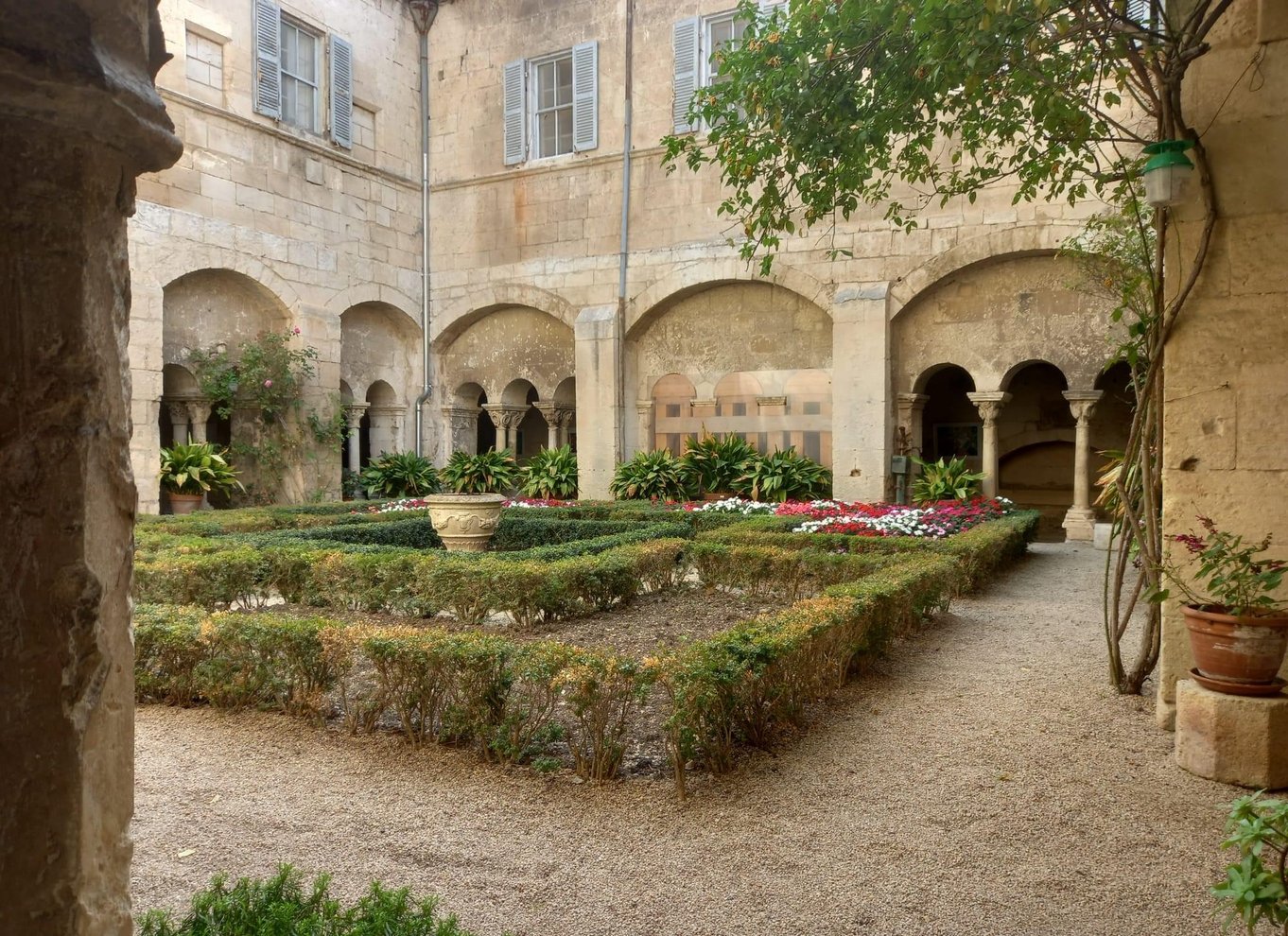 Avignon: I Van Goghs fodspor i Provence Halvdag