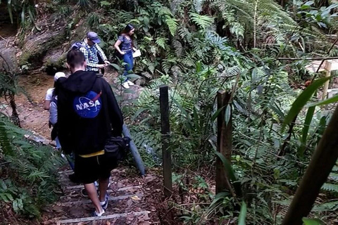 Medellín: tour privato sulla via della fuga di Pablo EscobarMedellín: tour privato sulla rotta di fuga di Pablo Escobar
