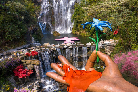 Guangzhou: Gulong Canyon Private Day Trip with Tickets Glass Bridge + Waterfalls