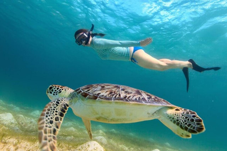 Providenciales: Half-Day Catamaran Sailing Trip with Snorkel Deluxe Half-Day Snorkel - Departing Ritz Carlton