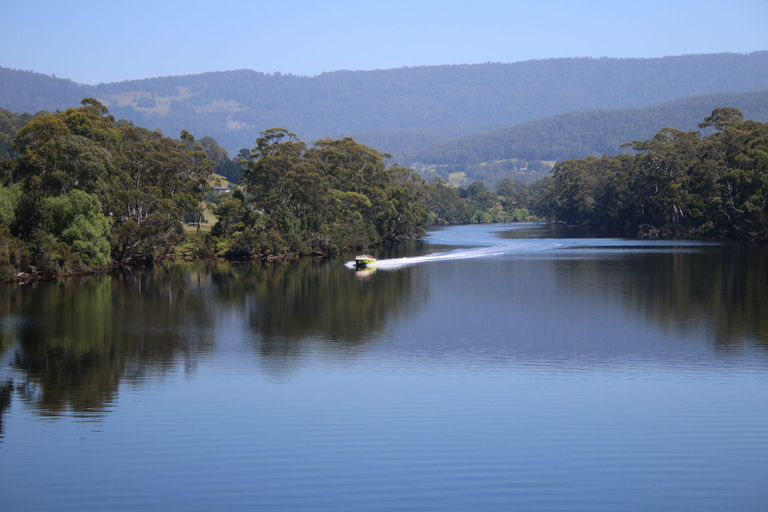 Hobart: Huon River White Water Jet Boat Ride