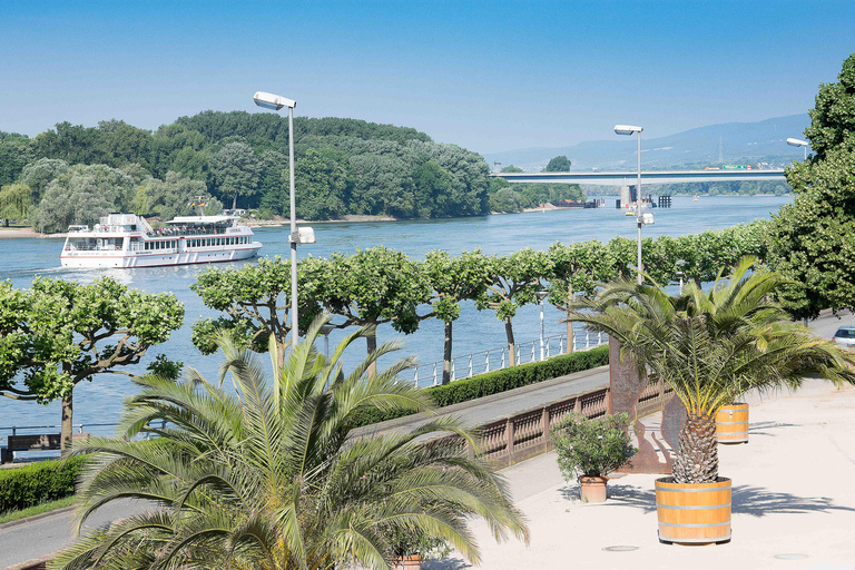 Wiesbaden: Lounge Evening Cruise Wiesbaden: Lounge evening ride