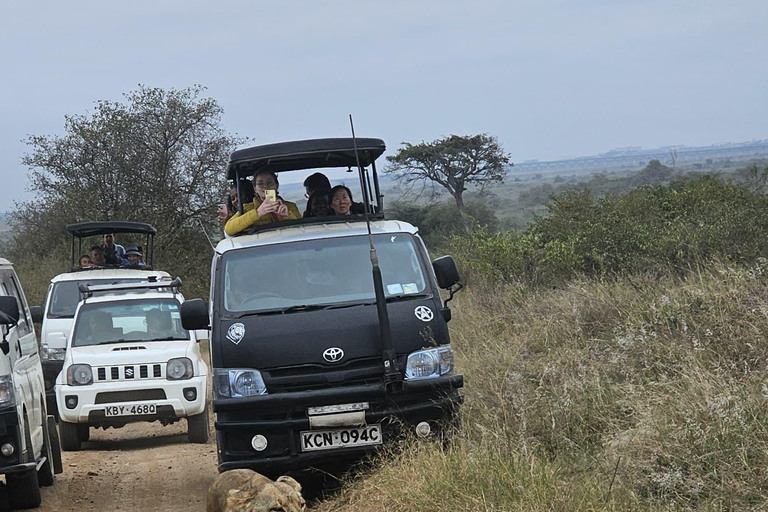 Nairobi Park Safari, Sheldrick's Orphanage & Giraffe Center Shared Drive in Open-Roof Van Game Drive