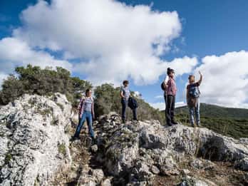 Delphi: Ancient Footpath Guided Hike