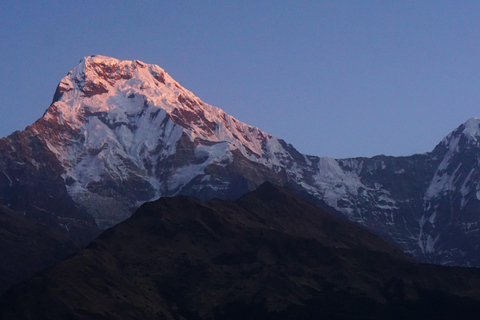 Annapurna: 8 Day Guided easy Trek at Annapurna