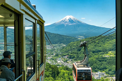 From Tokyo: Mt. Fuji & Hakone Private Day Trip with Driver