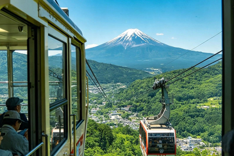 From Tokyo: Mt. Fuji & Hakone Private Day Trip with Driver