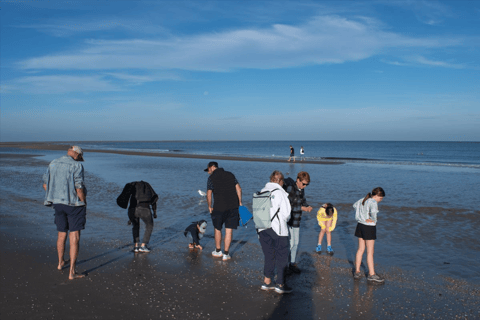 Oosterschelde: Guided Tour in Search of Salty Shellfish