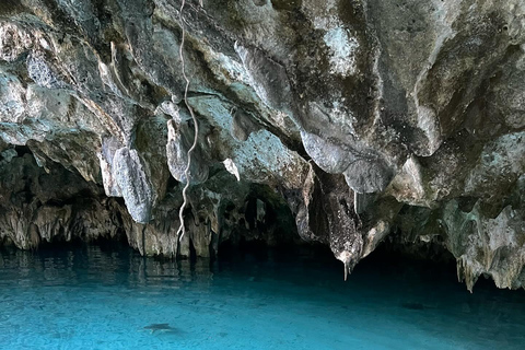 Zanzibar:Simma med sköldpaddor i salaamgrottan