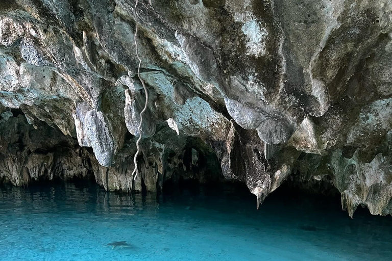 Zanzibar:Simma med sköldpaddor i salaamgrottan