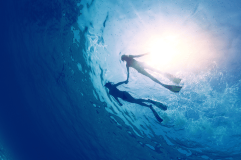 Rincon: Underwater Magic Snorkel Adventure
