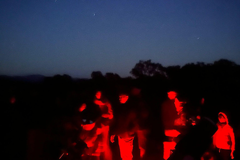 Los Pedroches: Guided Astronomical Experience in the Cordovan Dehesa