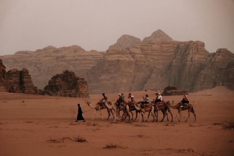 Au départ de la mer Morte : excursion d'une journée à Petra et Wadi RumTransport uniquement