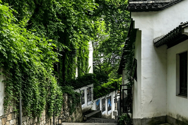 Hangzhou Small-Group Food Walking Tour (with Tastings)