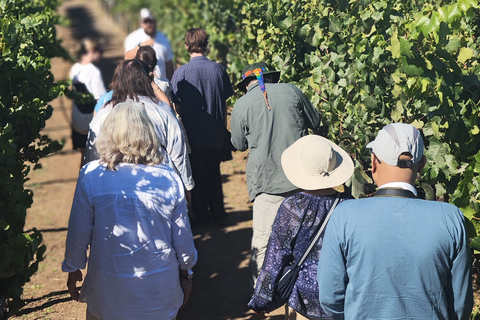 Casablanca-Valparaíso: Explore 2 vineyards with a tour, tasting, and lunch Casablanca, 2 vineyards Tour and tasting + Lunch