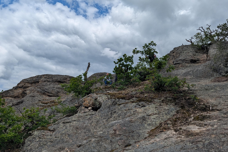 Vienna: Scenic Hiking Tour to Dürnstein/Wachau with Transfer