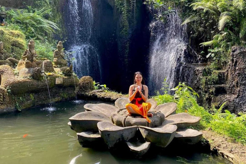 Bali: Swing Heaven and Griya Beji Water Purification Entry