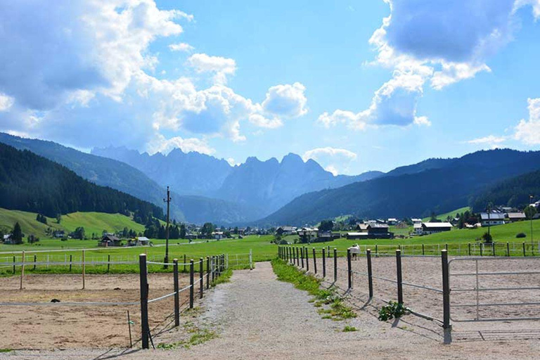 From Hallstatt: Scenic Gosau Horseback Experience