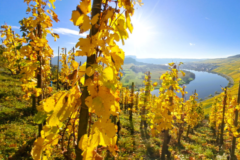 Kröv/Gut Hermes: Wine tour & tasting through the vineyard, winery, & sparkling wine factory Kröv/Gut Hermes: Wine Tour & Tasting Through Vineyard, Winery & Champagne Factory