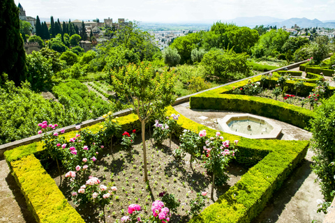 Granada: Alhambra & Nasrid Palaces Tour with Tickets Tour in Italian for 10 People