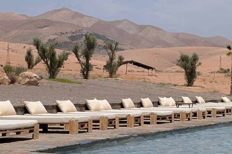 Marrakech: Agafay Camel Ride, Pool & Lunch or Dinner Show Evening Sunset Camel Ride & Pool & Dinner Show