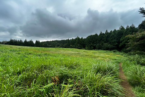 Jeju Geumun-oreum Volcanic Crater Hiking