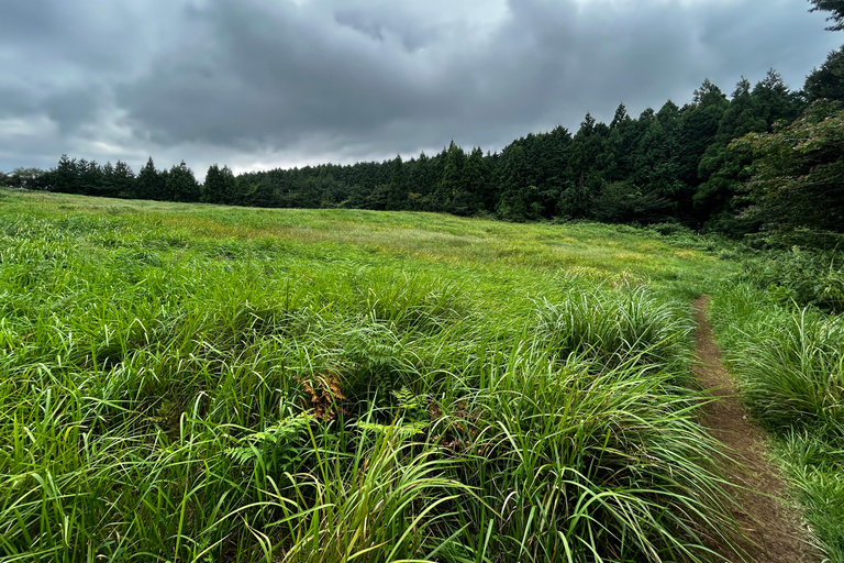 Jeju Geumun-oreum Volcanic Crater Hiking