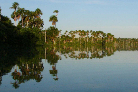 Puerto Maldonado: 4-tägiges Amazonas-Regenwald-Abenteuer