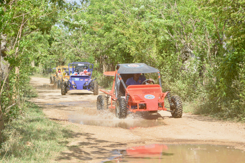 Buggy Tigre Selvagem: As melhores excursões de buggy em Punta CanaBuggy familiar (até 4 pessoas)