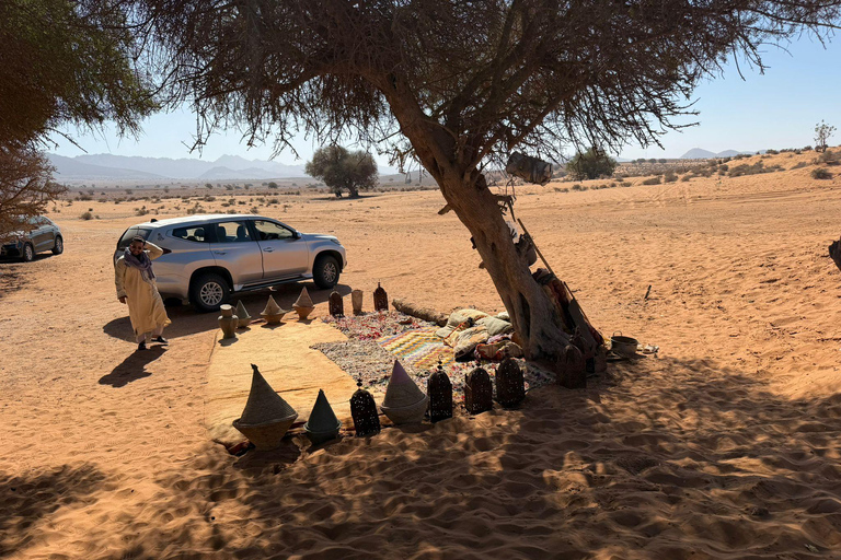 Agadir: Souss Massa 4WD Desert Safari with Lunch