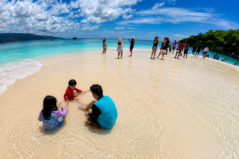 Cebu: Whale Sharks, Sumilon & Pescador Island Tour