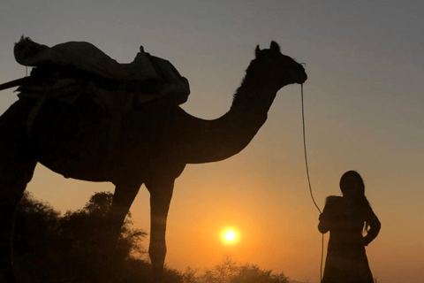 Jeep Safari In Desert Jodhapur