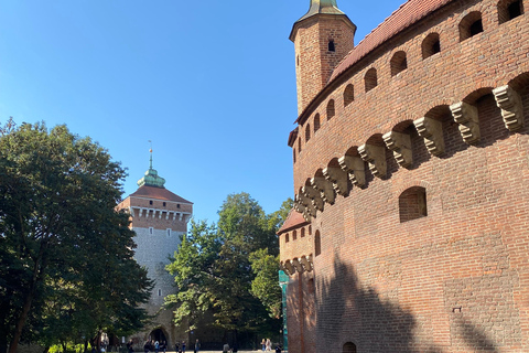 Kraków i ett nötskal - stadsvandringKraków: Krakow och Polen i ett nötskal - vandringstur