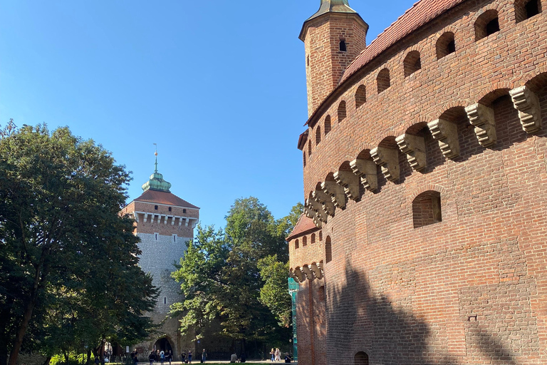 Kraków w pigułce - piesza wycieczka