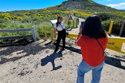 Malibu : visite culinaire, vin et plage