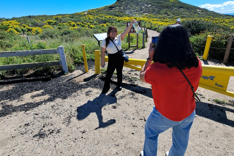 Malibu: Tour gastronómico, vinho e praia