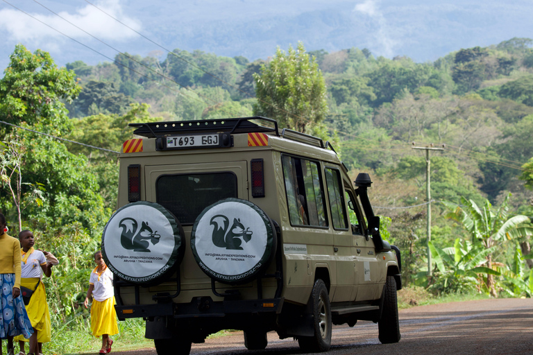 Mwanza: 3-Day Rubondo Island Safari with Chimp Trekking