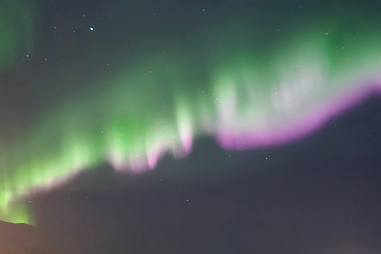 Abisko: Aurora Night & Swedish Glögg - Snowshoe Experience