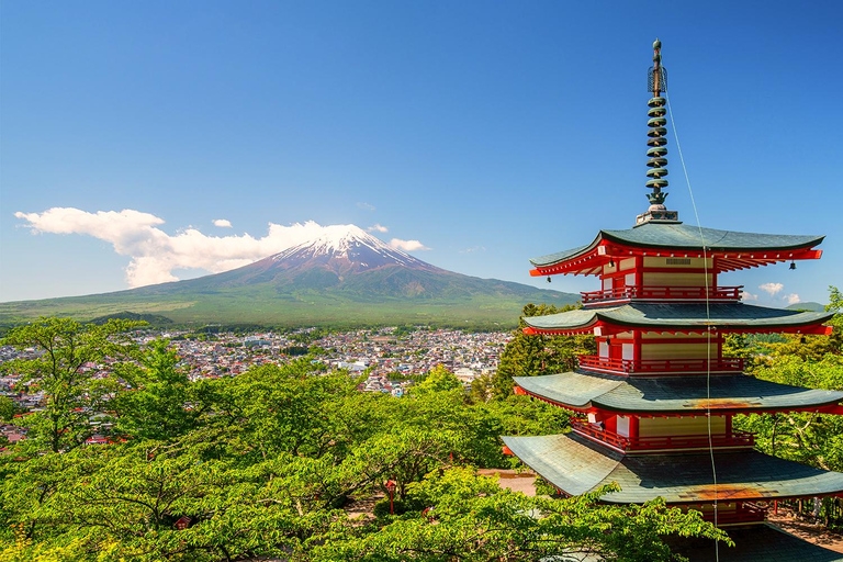 Tokyo: Mount Fuji Private Tour with Scenic Lunch Experience