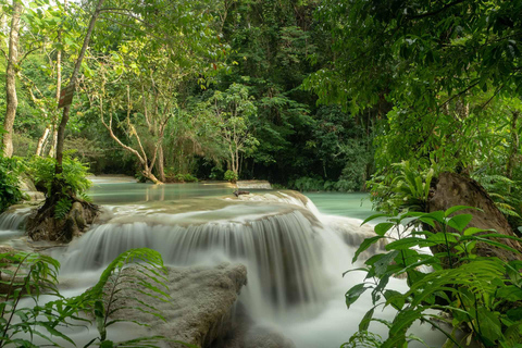 Kuang Si Wasserfall, Tree Top Cafe, Ziplining und Mittagessen