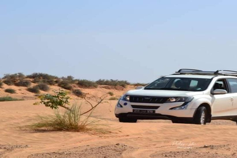 Traslado desde el aeropuerto de Djerba Zarsis a los hoteles de Djerba