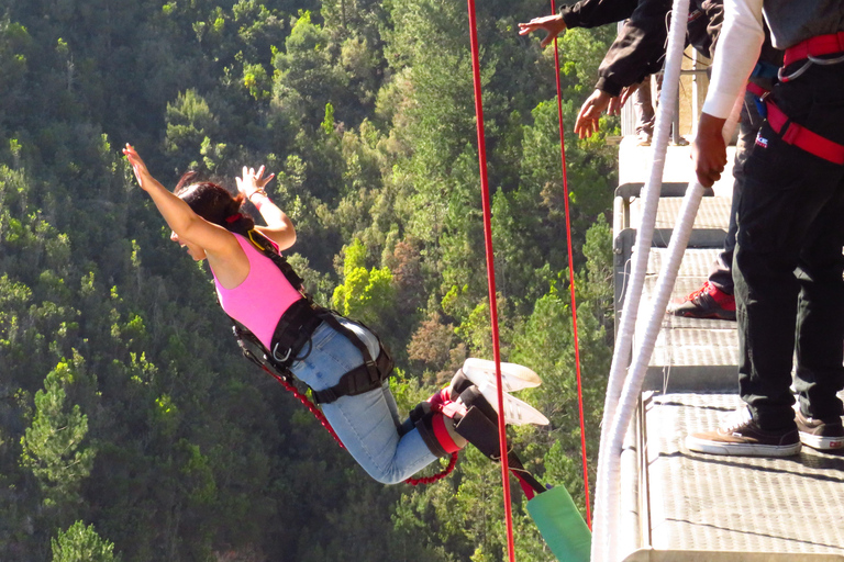 Plettenberg Bay: Jump/Winch-Ride & Skywalk Tour Experience