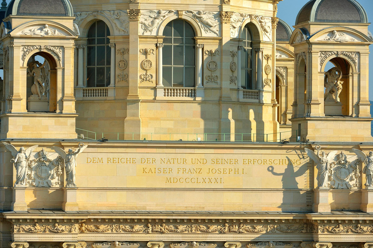 فيينا: تذكرة إلى متحف التاريخ الطبيعي