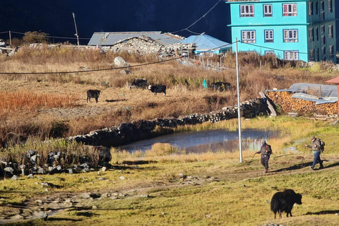 Kathmandu: 8-tägiger Langtang Valley Trek mit Transfers