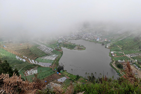 从日惹出发的日出西库尼尔山和迪恩高原之旅从日惹到日出 Sikunir 和 Dieng 高原之旅