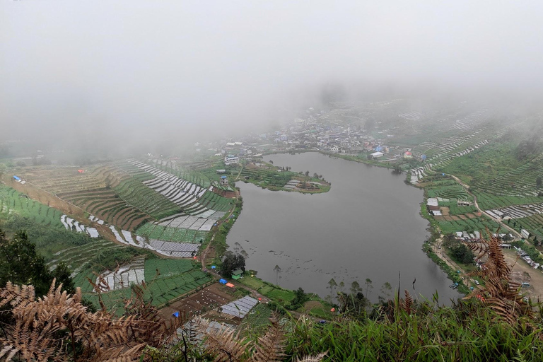 从日惹出发的日出西库尼尔山和迪恩高原之旅从日惹到日出 Sikunir 和 Dieng 高原之旅
