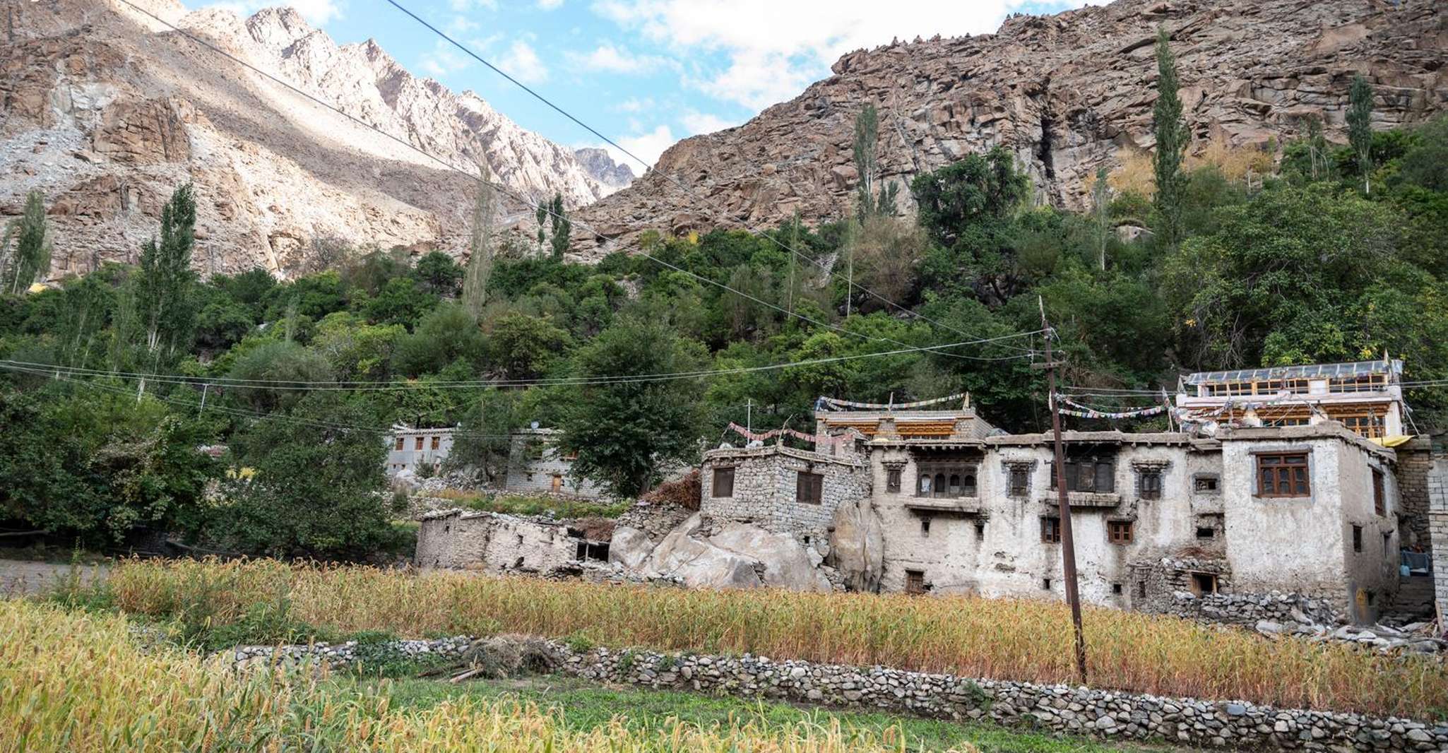 Exploring the Apricot Blossoms of Ladakh - Housity