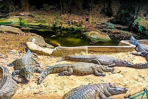 Visite de la ville de Mombasa avec l&#039;expérience des crocodiles du village de Mamba.