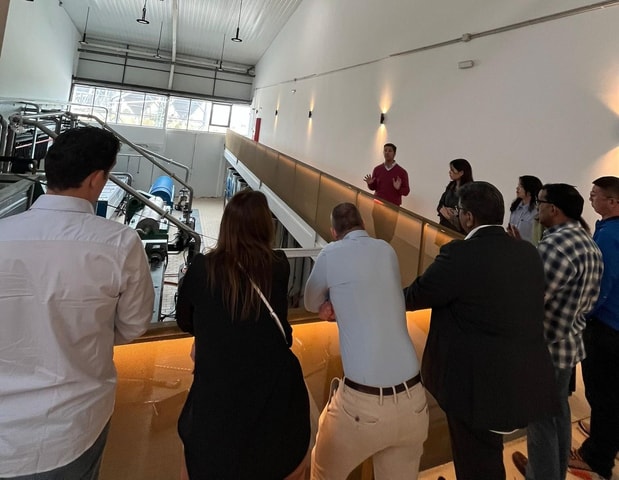 Granada in EVOO: Guided tour and unique sensorial tasting
